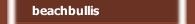 beachbullis